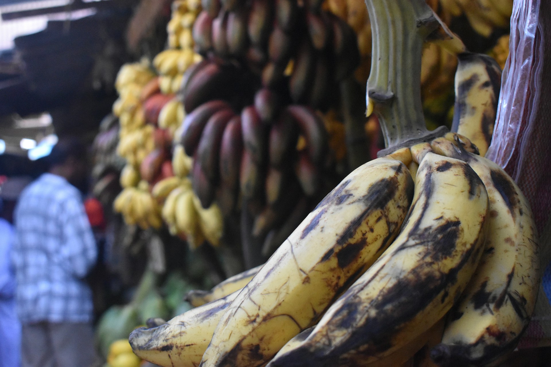 Advances in Agricultural Technology